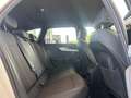 Audi A4 Avant 40 TDI quattro 3 x S-line S-tronic Weiß - thumbnail 11