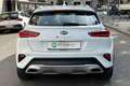 Kia XCeed Xceed 1.6 CRDi 115 CV DCT Style Blanc - thumbnail 6