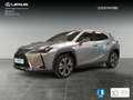 Lexus UX 300e Executive - thumbnail 1