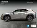 Lexus UX 300e Executive - thumbnail 3
