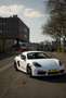 Porsche 718 T Blanco - thumbnail 2