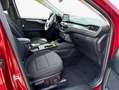 Ford Kuga 2.5 Duratec PHEV TITANIUM Rojo - thumbnail 11