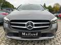 Mercedes-Benz B 200 B 200 Business VC/Keyless/Park-Paket Grau - thumbnail 5