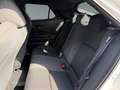 Toyota C-HR 2.0 PHEV 4x2 Team D *NAVI*KLIMA*PDC*RFK* Schwarz - thumbnail 14