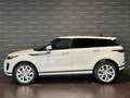 Land Rover Range Rover Evoque 2.0D I4 163 CV AWD Auto S TETTO PANORAMICO Weiß - thumbnail 5