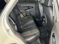 Land Rover Range Rover Evoque 2.0D I4 163 CV AWD Auto S TETTO PANORAMICO Weiß - thumbnail 13