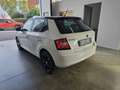 Skoda Fabia 1.4 tdi Design Edition 75cv - thumbnail 5