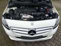 Mercedes-Benz B 180 B -Klasse B 180 Blanco - thumbnail 7