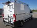 Fiat Ducato 250 Weiß - thumbnail 4