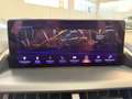 Lexus NX 300 NX 300h 2.5 Business 4wd cvt Gris - thumbnail 12