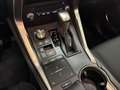 Lexus NX 300 NX 300h 2.5 Business 4wd cvt Gris - thumbnail 13