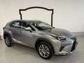Lexus NX 300 NX 300h 2.5 Business 4wd cvt Gris - thumbnail 2