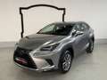 Lexus NX 300 NX 300h 2.5 Business 4wd cvt Gris - thumbnail 1