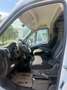 Fiat Ducato Carado 35 140 Multijet L4H2 Grau - thumbnail 8