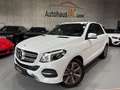 Mercedes-Benz GLE 350 /d/4Matic/360*/LEDER/AHK/LED/ Weiß - thumbnail 1