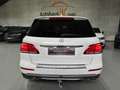 Mercedes-Benz GLE 350 /d/4Matic/360*/LEDER/AHK/LED/ Weiß - thumbnail 4