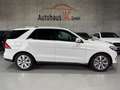 Mercedes-Benz GLE 350 /d/4Matic/360*/LEDER/AHK/LED/ Weiß - thumbnail 7