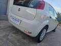 Fiat Punto Punto 5p 1.3 MJT 95 CV E6 "AUTOCARRO N1" Blanc - thumbnail 8