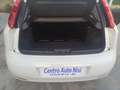 Fiat Punto Punto 5p 1.3 MJT 95 CV E6 "AUTOCARRO N1" Blanc - thumbnail 9