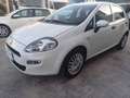 Fiat Punto Punto 5p 1.3 MJT 95 CV E6 "AUTOCARRO N1" Blanc - thumbnail 3