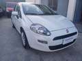Fiat Punto Punto 5p 1.3 MJT 95 CV E6 "AUTOCARRO N1" Blanc - thumbnail 1