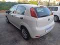 Fiat Punto Punto 5p 1.3 MJT 95 CV E6 "AUTOCARRO N1" Blanc - thumbnail 5