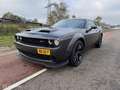 Dodge Challenger 3.6 V6 SXT AUT. Widebody Hellcat!! Grau - thumbnail 11
