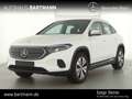 Mercedes-Benz EQA 250 EQA 250 PANO+360°+LED+ PROGRESSIVE+JungerStern++ Weiß - thumbnail 1