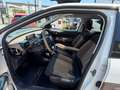 Citroen C4 Cactus 1,6 e-HDI 92PS Shine Automatik Panoramadach Weiß - thumbnail 11