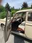 Peugeot Sonstige 403 Beige - thumbnail 5