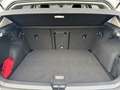 Volkswagen Golf VIII 1.5 TSI GOAL AHK+LED+NAVI.+KAMERA+ACC+ Weiß - thumbnail 7