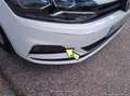 Volkswagen Polo 1.6TDI Edition 59kW - thumbnail 35