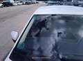 Volkswagen Polo 1.6TDI Edition 59kW - thumbnail 19