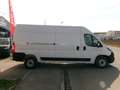 Fiat Ducato Maxi Grossr.-Kasten 35 140 L4H2 SERIE 9 Білий - thumbnail 8