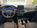 Ford Kuga 2.0 EcoBlue 120 CV aut. 2WD ST-Line - VARI COLORI! Blu/Azzurro - thumbnail 13