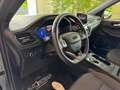 Ford Kuga 2.0 EcoBlue 120 CV aut. 2WD ST-Line - VARI COLORI! Blu/Azzurro - thumbnail 10