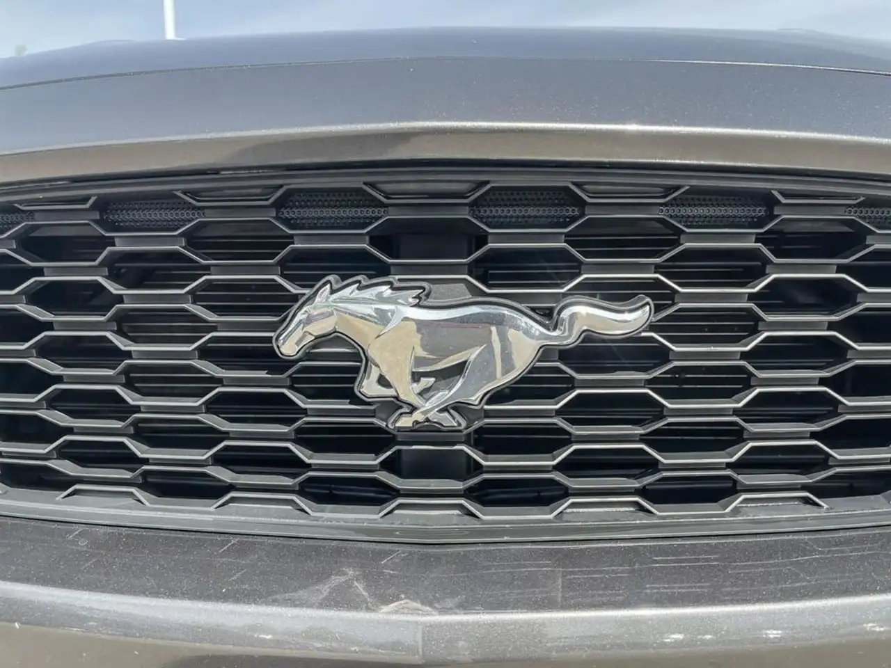 Ford Mustang снимка Ford Mustang
