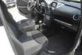 Casalini M14 Bianco - thumbnail 10