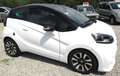 Casalini M14 Bianco - thumbnail 3