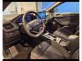 Ford Focus 1.5 ecoblue st-line 115cv auto Grigio - thumbnail 8