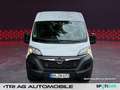 Opel Movano Cargo 3,5t L2H2 Ctiy-Paket Cargo-Paket DA White - thumbnail 8
