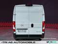 Opel Movano Cargo 3,5t L2H2 Ctiy-Paket Cargo-Paket DA White - thumbnail 4