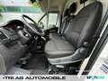 Opel Movano Cargo 3,5t L2H2 Ctiy-Paket Cargo-Paket DA White - thumbnail 9