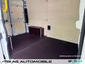 Opel Movano Cargo 3,5t L2H2 Ctiy-Paket Cargo-Paket DA White - thumbnail 15