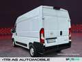 Opel Movano Cargo 3,5t L2H2 Ctiy-Paket Cargo-Paket DA White - thumbnail 5