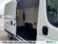 Opel Movano Cargo 3,5t L2H2 Ctiy-Paket Cargo-Paket DA White - thumbnail 14