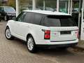 Land Rover Range Rover Vogue 5.0 V8 SC  erst 12tkm! White - thumbnail 5