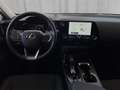 Lexus NX 350h Business Line 244 PS Grün - thumbnail 8