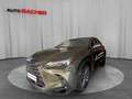 Lexus NX 350h Business Line 244 PS Grün - thumbnail 1