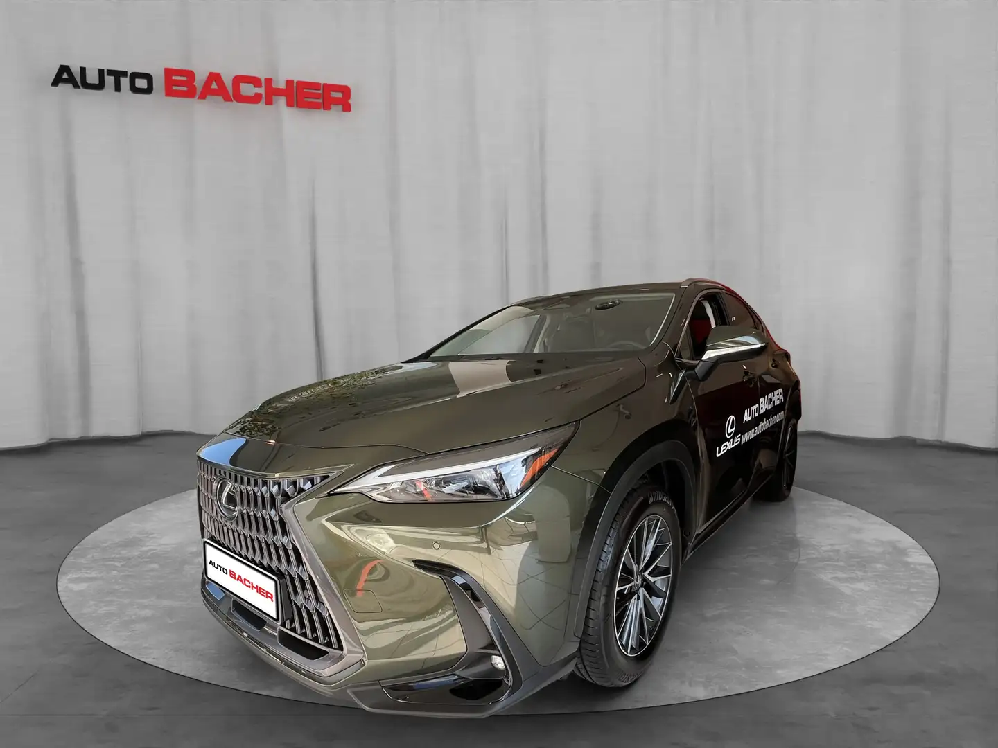 Lexus NX 350h Business Line 244 PS Grün - 1